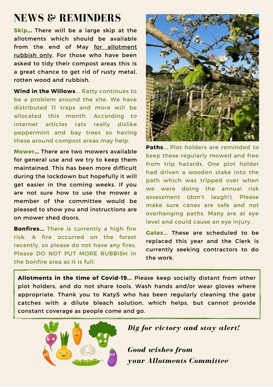Allotments newsletter page 2